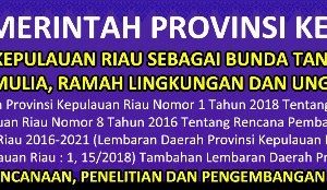 ansar banner