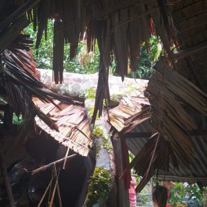 IMG-20221026-WA0018