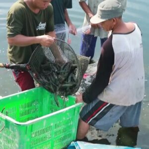 IMG_20240628_183856