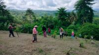 menanam-jagung-bersama-warga-tojo-dukung-ketahanan-pangan-59 (1) menanam-jagung-bersama-warga-tojo-dukung-ketahanan-pangan-59 (1)