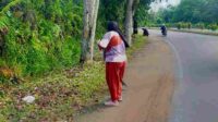Penataan Kebersihan Kota_11zon
