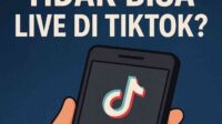file-000000001fc861fa9513e4f5c22f03aa-68b32bc134777c75197bdcd2