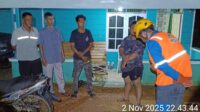 WhatsApp Image 2025-11-02 at 23.13.09